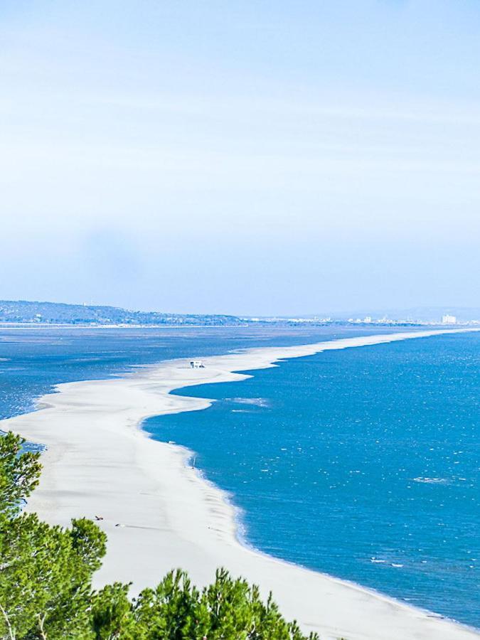 Les Arenes - Port Leucate - Une Chambre - Terrasse - Proche Commerces - Tout Confort 외부 사진
